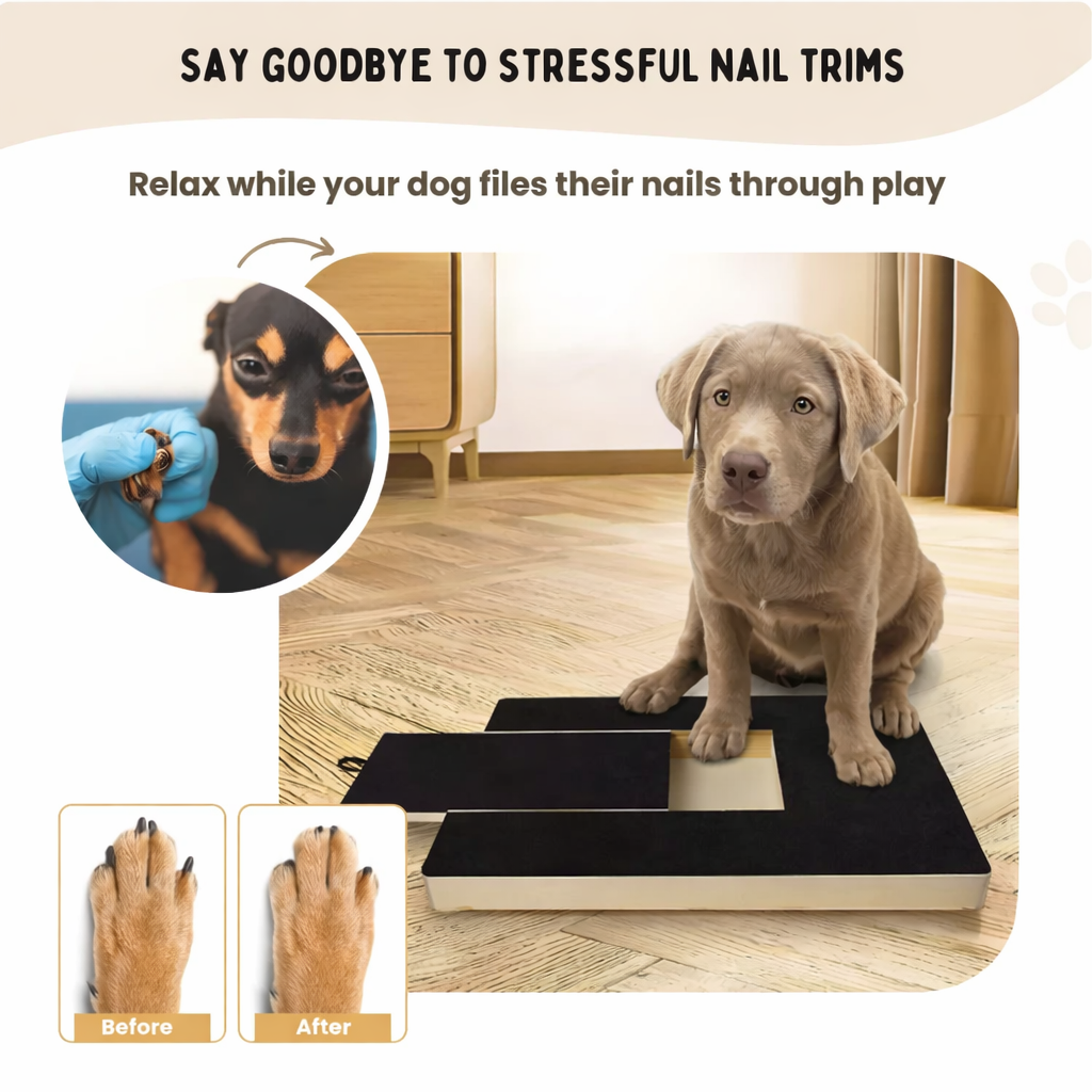 Paw Board™